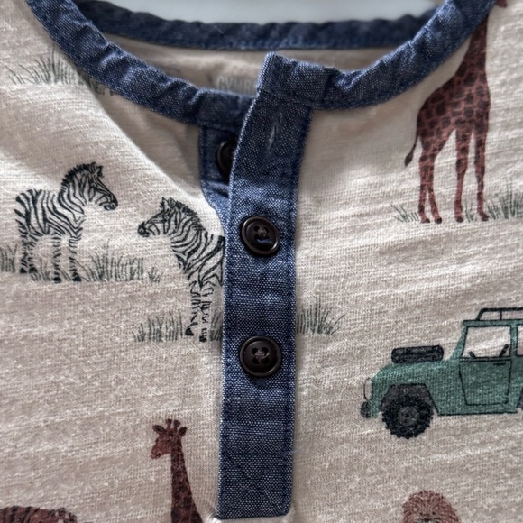 Gymboree Safari Adventure Tee - Cream and Blue - Picture 3 of 7